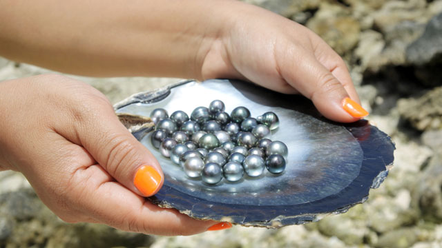 hands holding shell with pearls