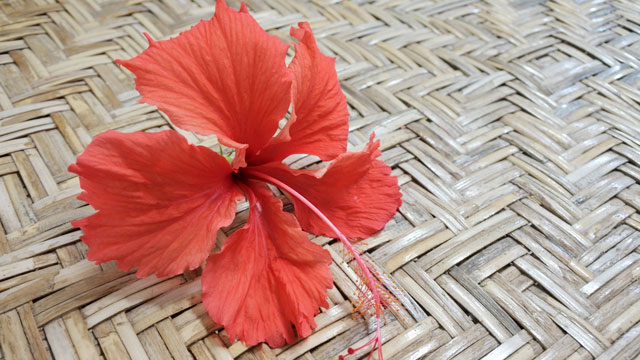 red flower on a woven mat