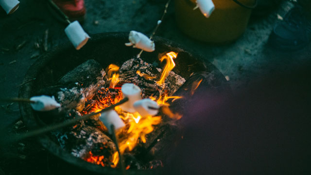 toasting marshmallows on a campfire