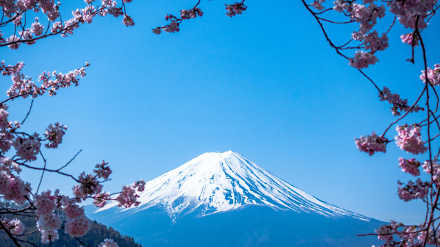 Mt Fuji