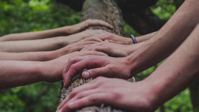 hands of many people placed together on a log of wood