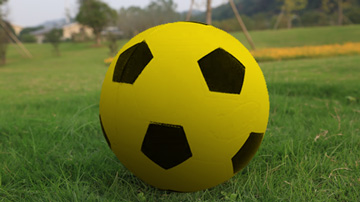 Kī o Rahi ball on grass