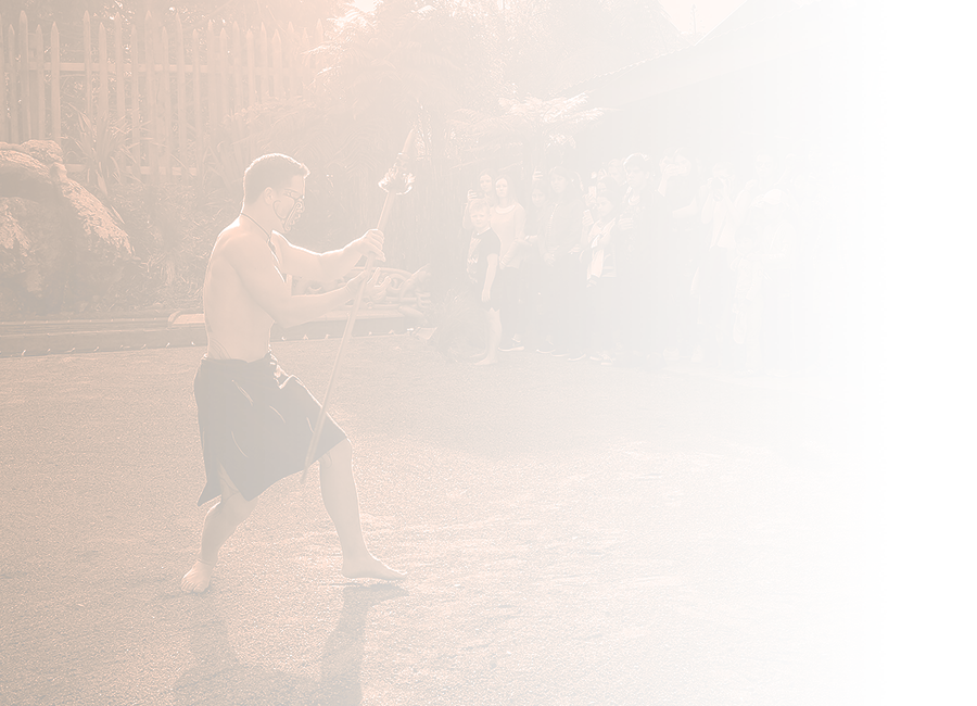 A photograph of a young man performing with a taiaha in traditional performance attire to an audience outside. 