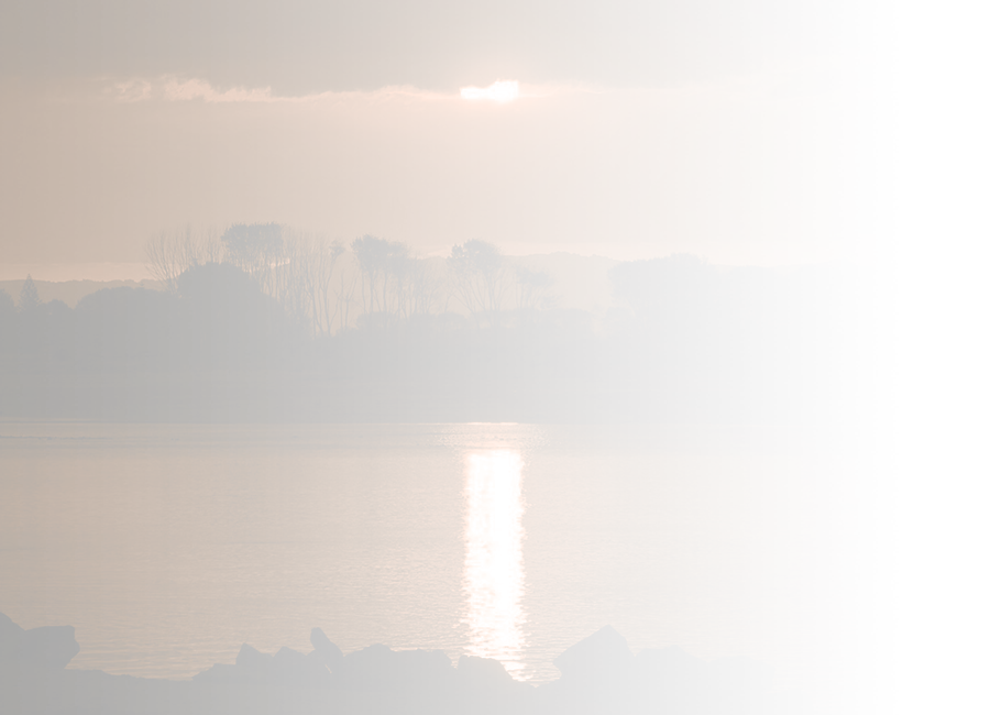 A photograph of the sunset reflecting on still water, framed by a silhouette of bush between the water and the sunlit sky. 