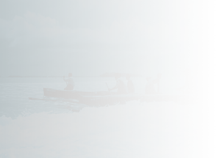 People fishing in boats