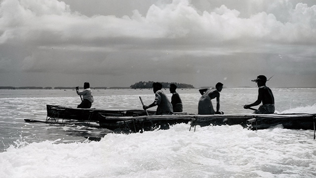 People fishing in boats