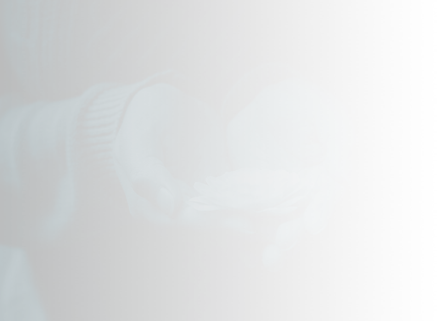 Hands holding a flower