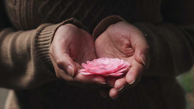 Hands holding a flower