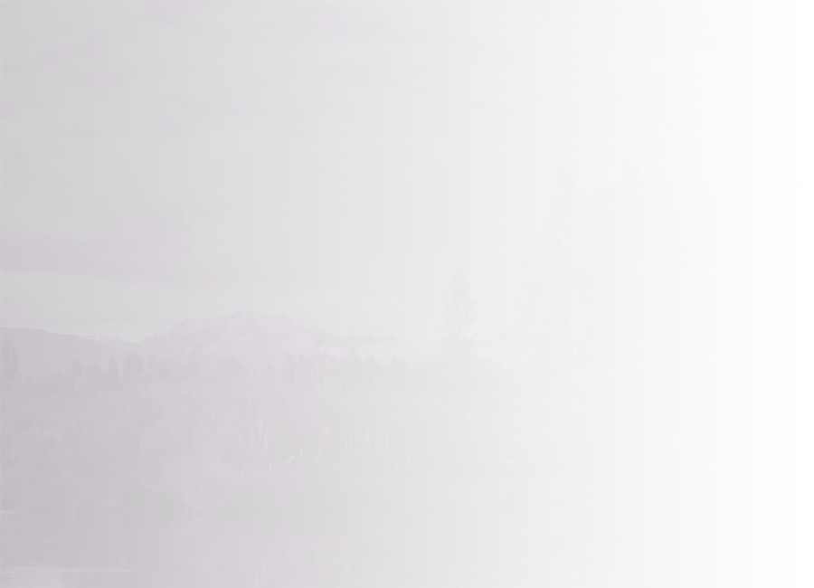 Lush vegetation grows on the banks of Ōkārito lagoon