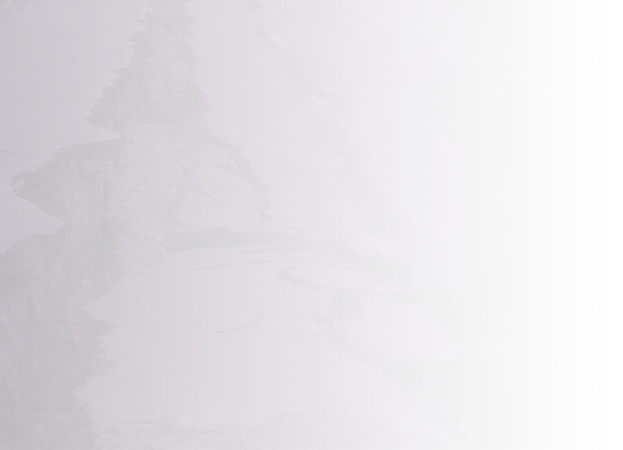 A road has been badly damaged by an earthquake. The surface is deeply cracked, and the road falls away to the right.