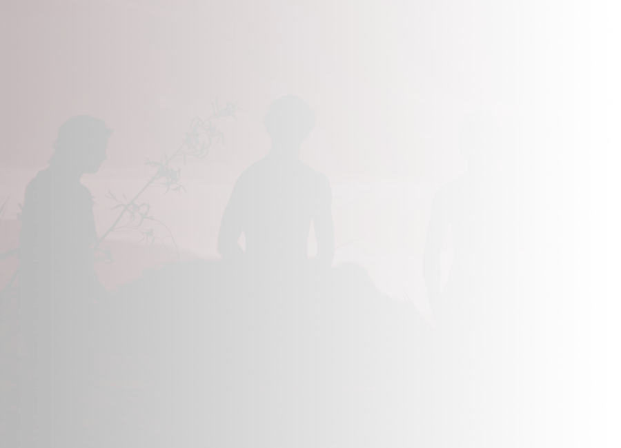 Three figures and some harakeke silhouetted against a sunset