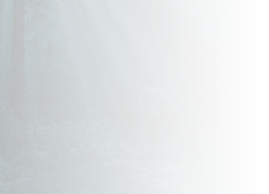 two people walking through the forest