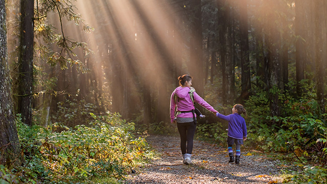 two people walking through the forest