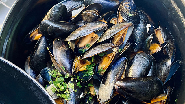plate of mussels