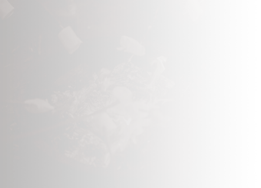 toasting marshmallows on a campfire