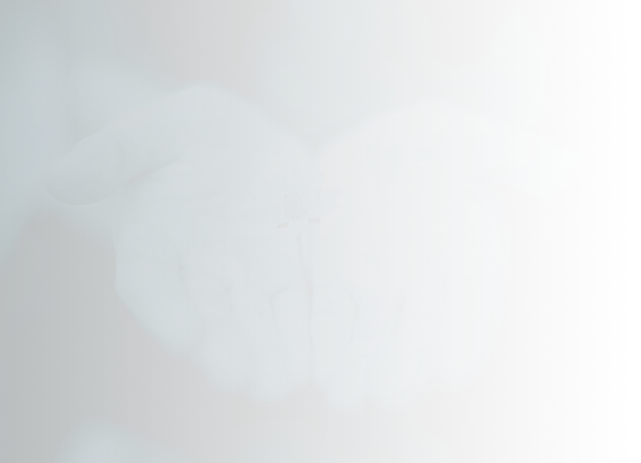 hands holding flower