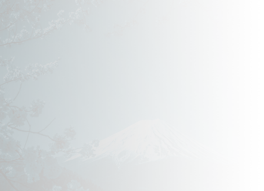 Mt Fuji