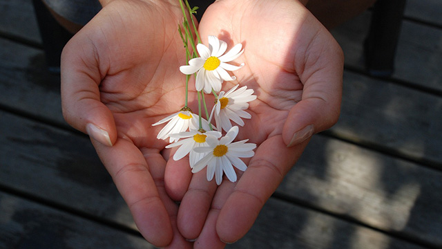 hands holding flowers