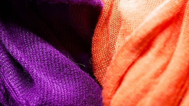 purple and orange sweaters